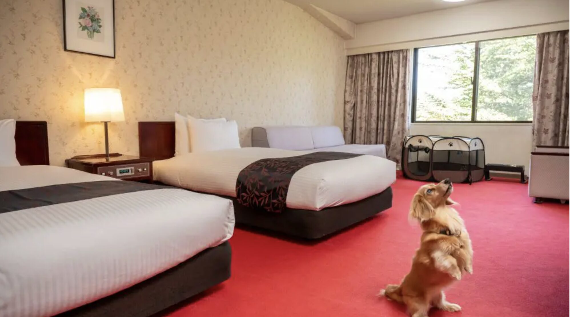 メルキュール裏磐梯リゾート＆スパ